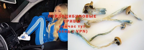 тгк Покровск