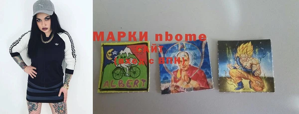 твердый Покачи