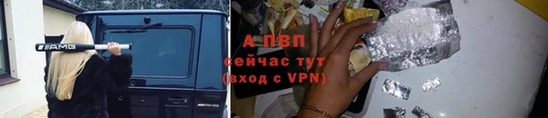 молекула духа Липки