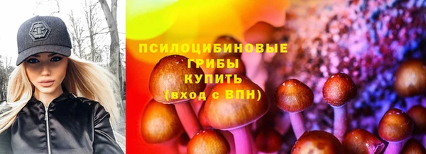 тгк Покровск