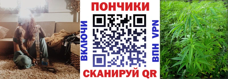 ОМГ ОМГ зеркало  Темников  Конопля VHQ 